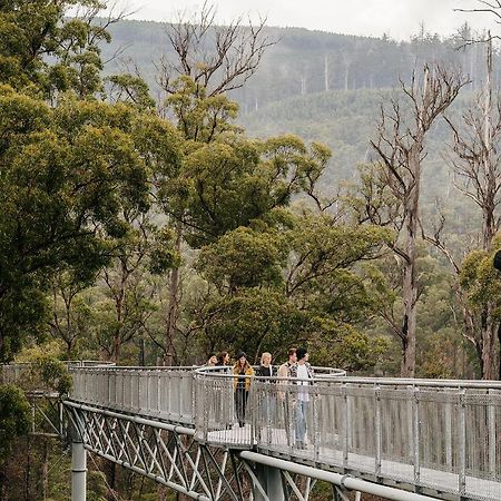Tahune Airwalk Cabin And Lodge Geeveston المظهر الخارجي الصورة