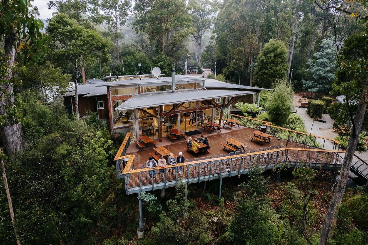 Tahune Airwalk Cabin And Lodge Geeveston المظهر الخارجي الصورة
