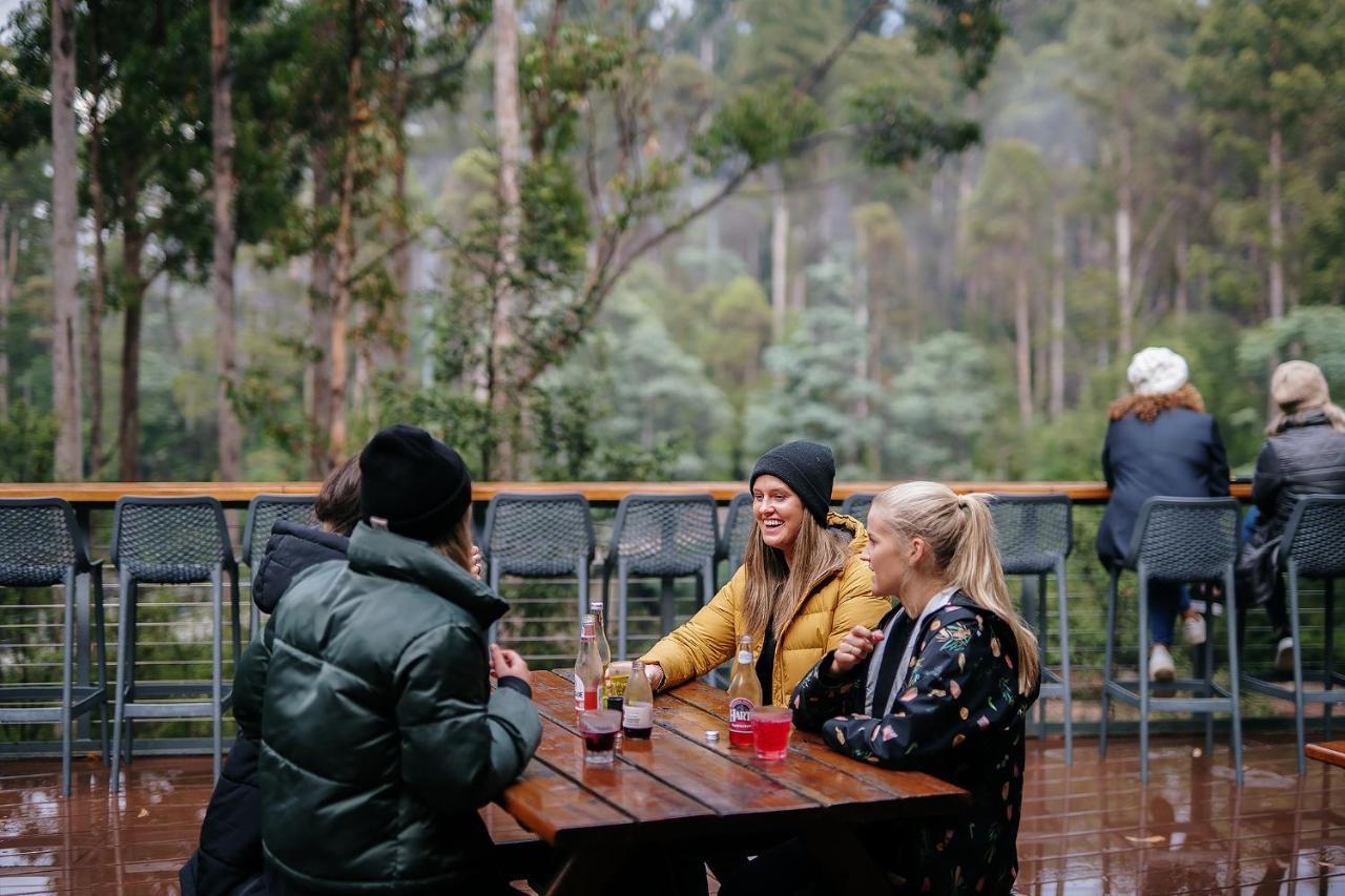 Tahune Airwalk Cabin And Lodge Geeveston المظهر الخارجي الصورة