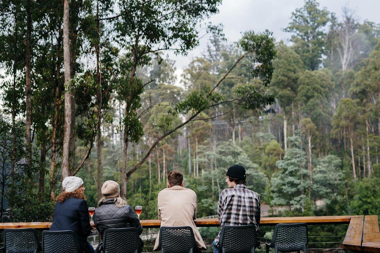 Tahune Airwalk Cabin And Lodge Geeveston المظهر الخارجي الصورة