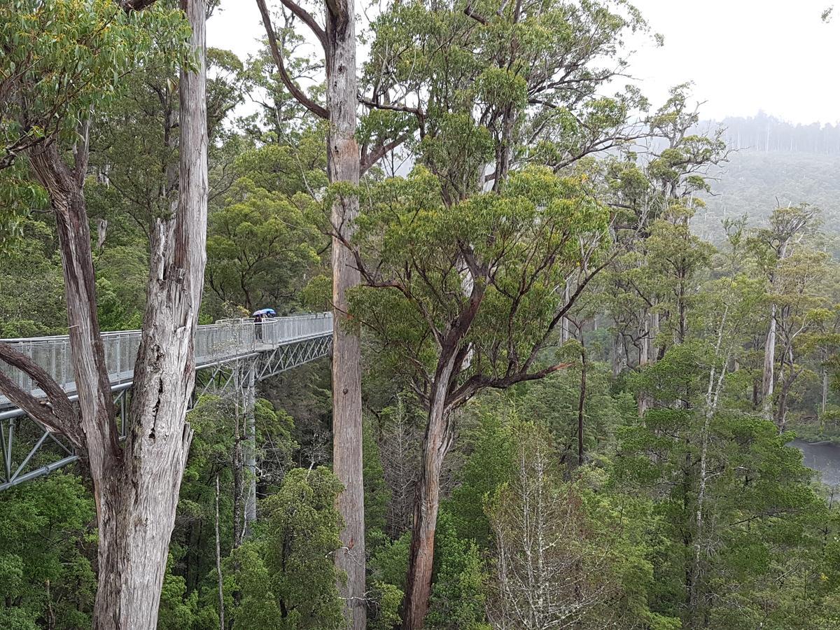 Tahune Airwalk Cabin And Lodge Geeveston المظهر الخارجي الصورة