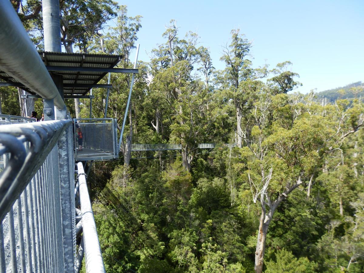 Tahune Airwalk Cabin And Lodge Geeveston المظهر الخارجي الصورة