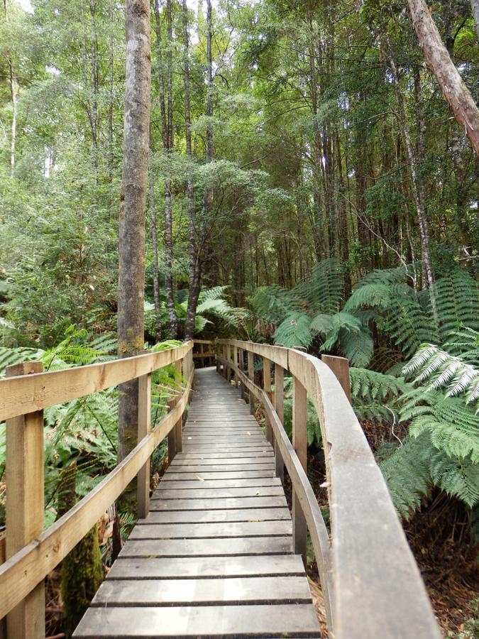 Tahune Airwalk Cabin And Lodge Geeveston المظهر الخارجي الصورة