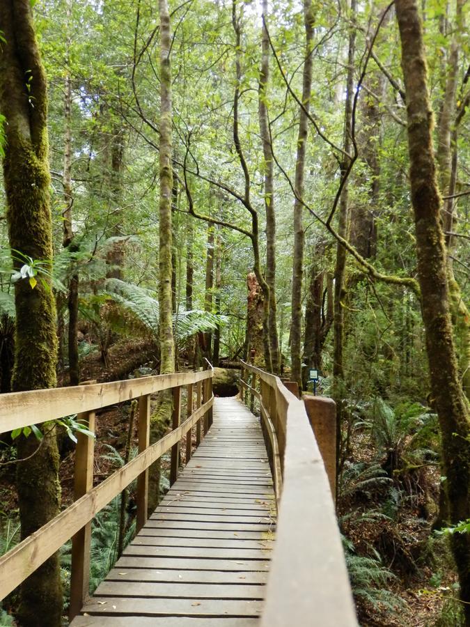 Tahune Airwalk Cabin And Lodge Geeveston المظهر الخارجي الصورة