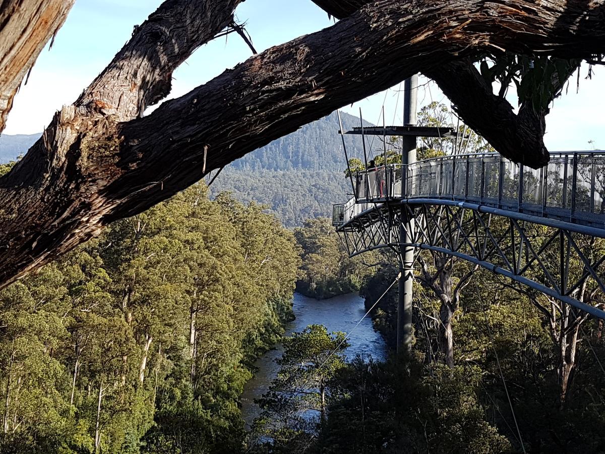 Tahune Airwalk Cabin And Lodge Geeveston المظهر الخارجي الصورة